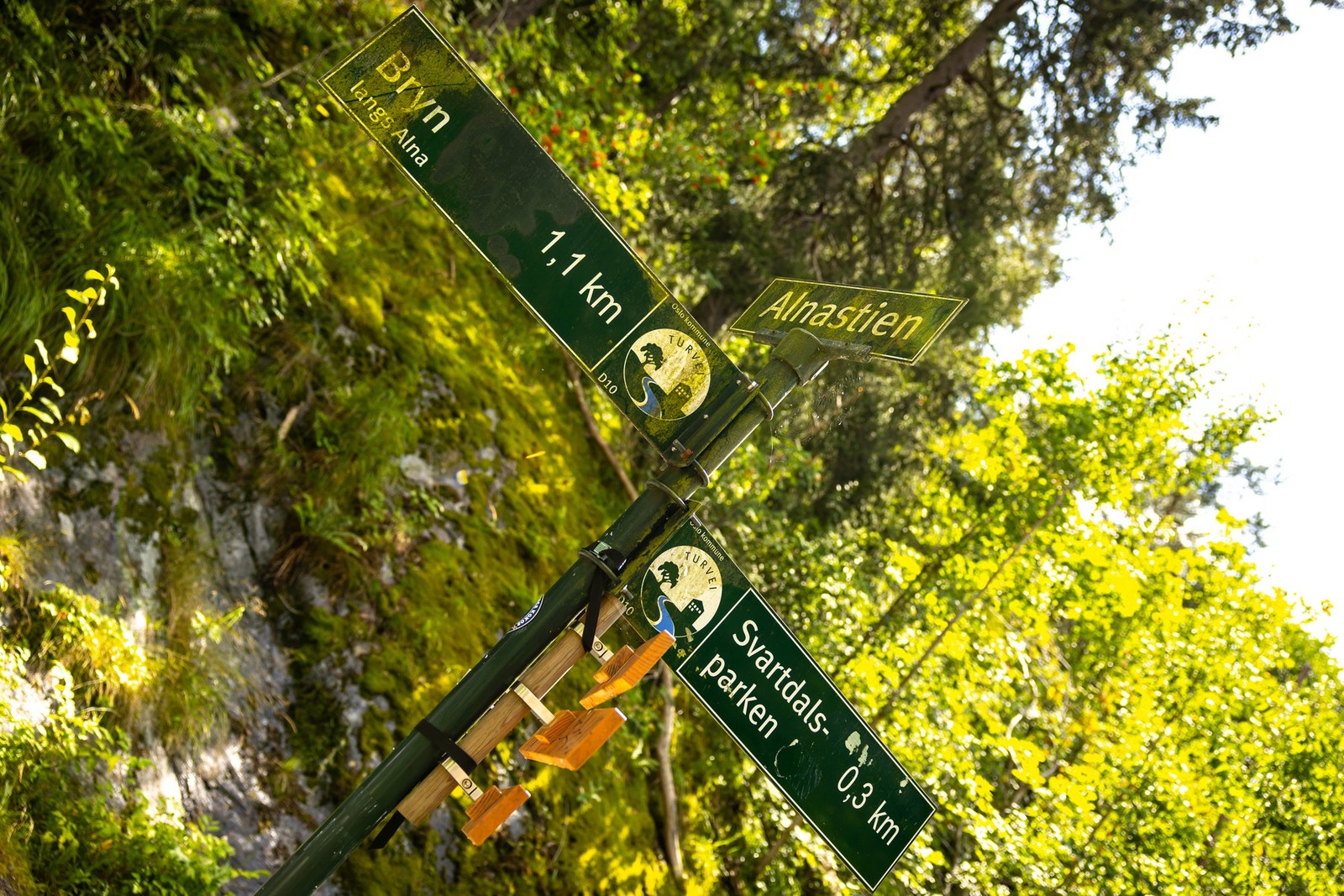 Flere flotte turområder like ved boligen. Galleribilde