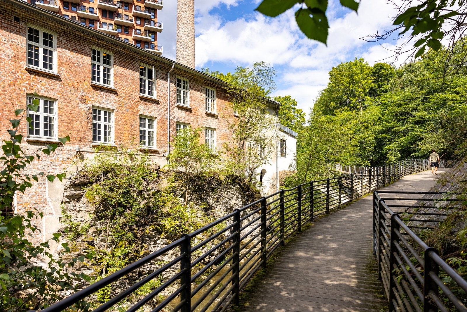 Oslos siste urskog (Svartdalsparken) ligger også rett ved. Galleribilde