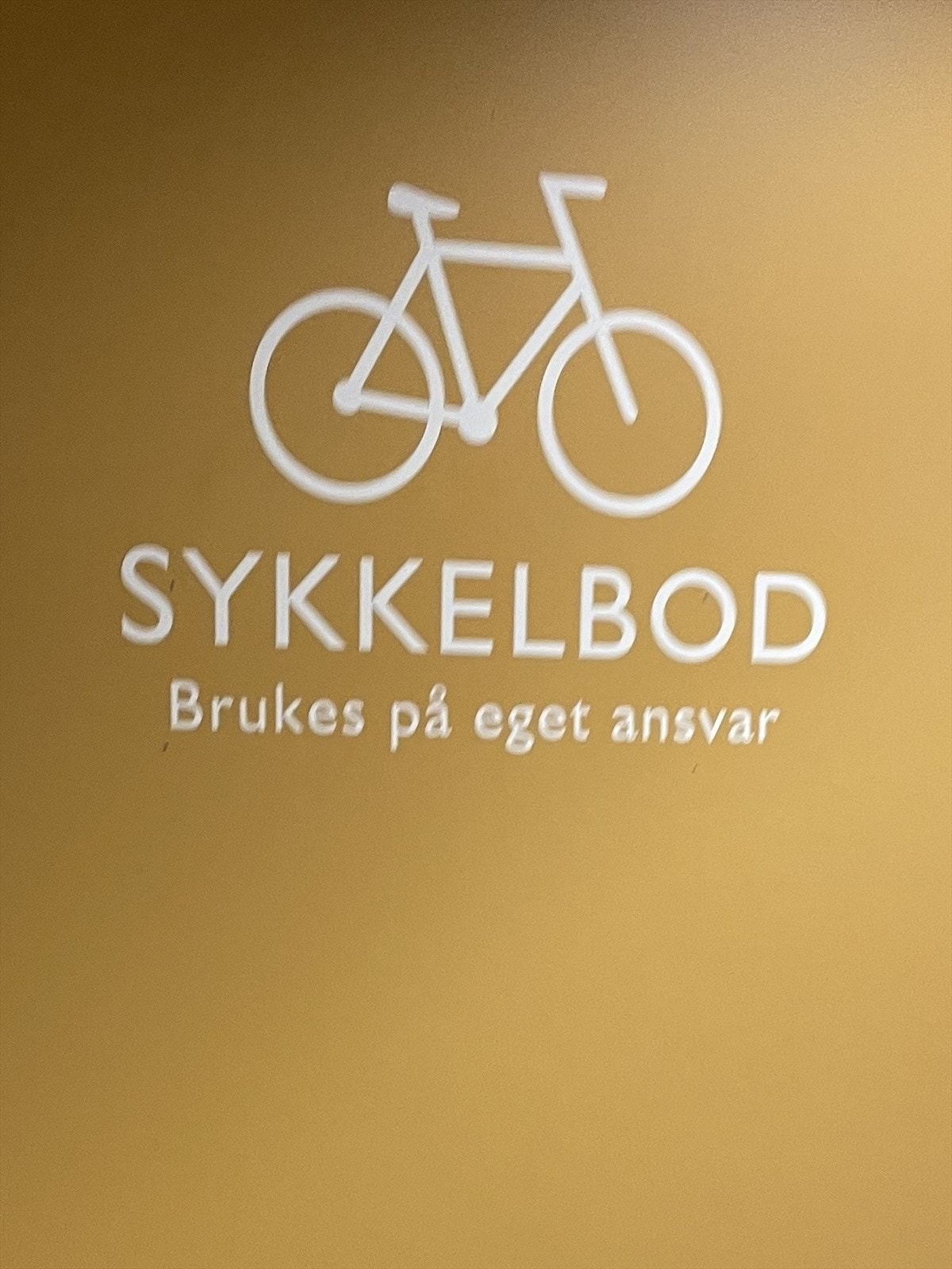 Tidligere bilde Galleribilde