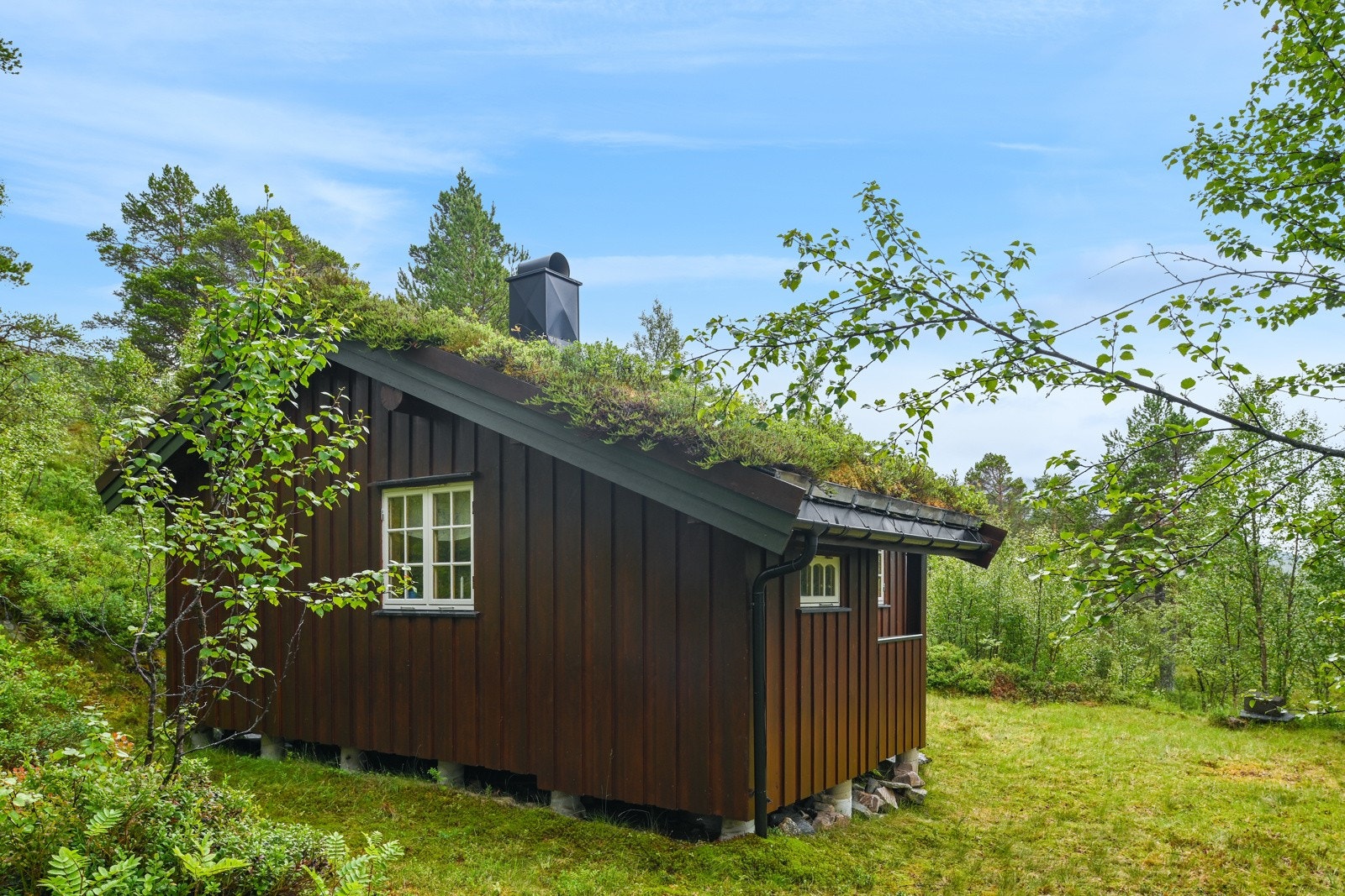 Hytta ligger isolert til med naturen som nærmeste nabo på alle kanter. Galleribilde