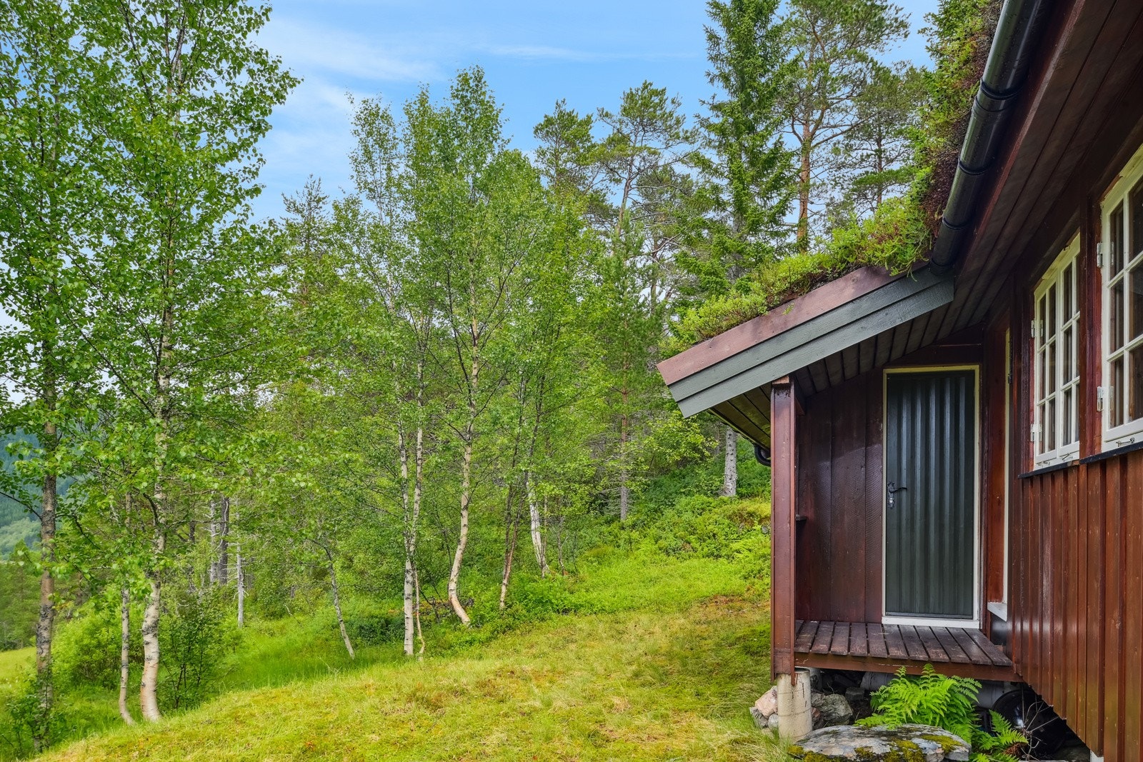 Bli med inn! Galleribilde