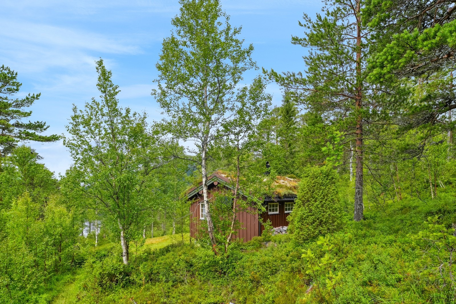 Velkommen til visning! Galleribilde