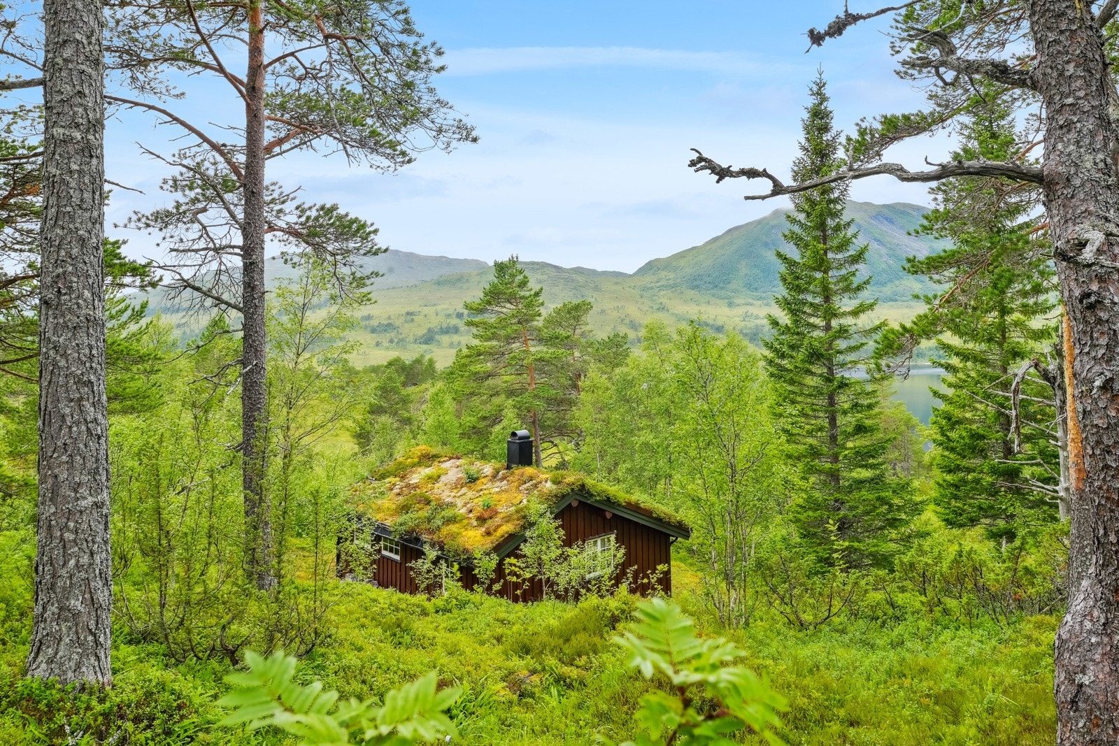 Her kan man nyte naturens kvitring og ro. Galleribilde