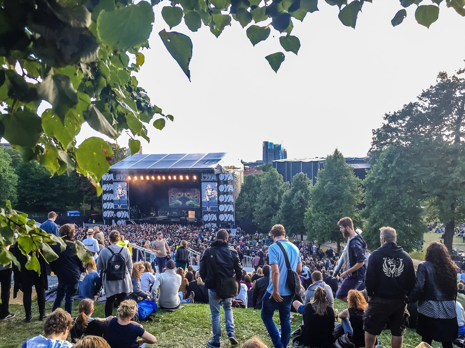 Kort vei hjem fra Øyafestivalen. Galleribilde