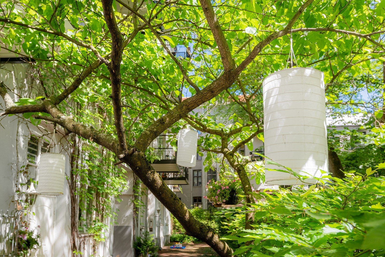 Her blir det hyggelig stemning også på kveldstid. Galleribilde