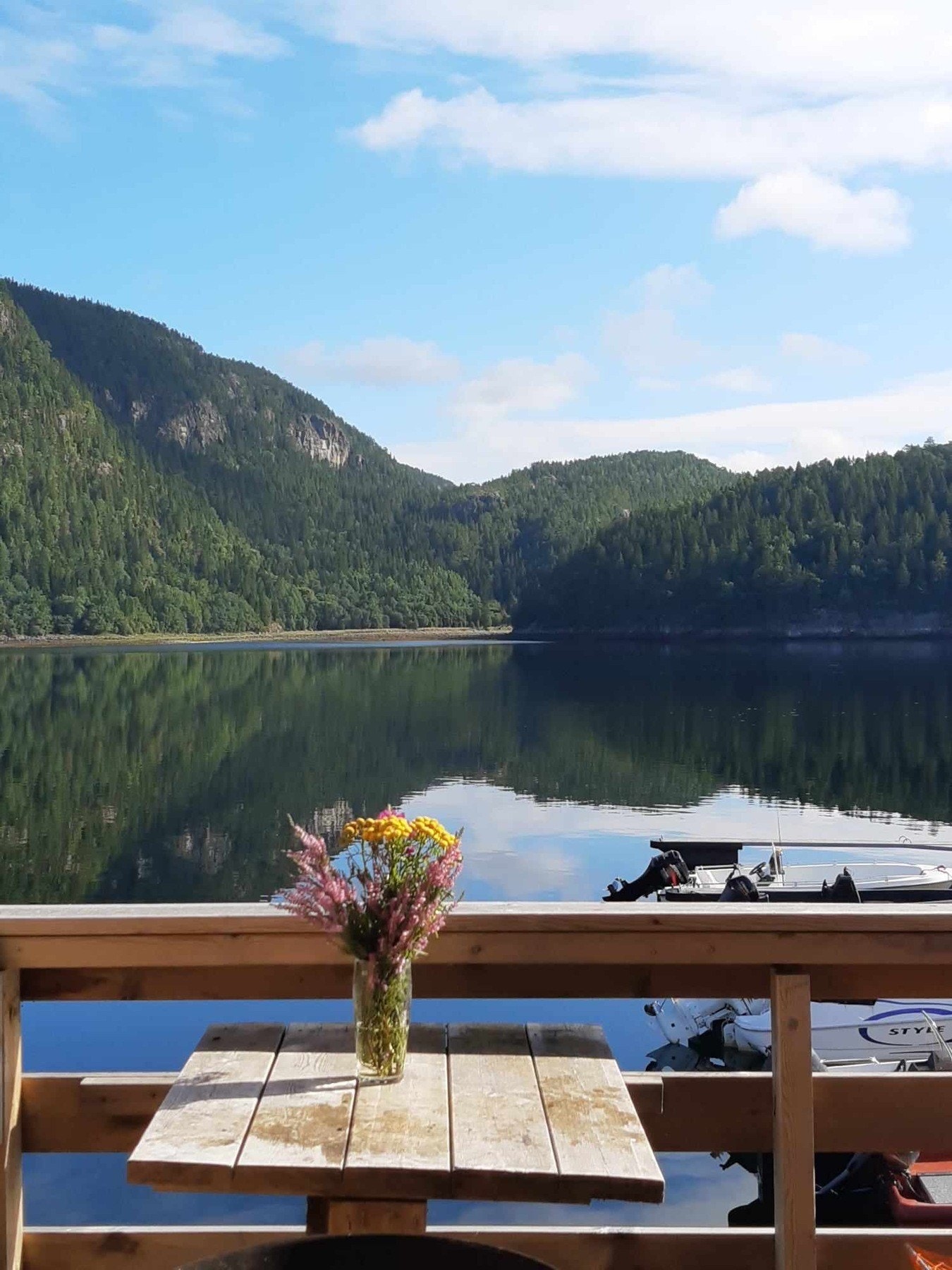 Selgers egne bilder fra naustet. Galleribilde