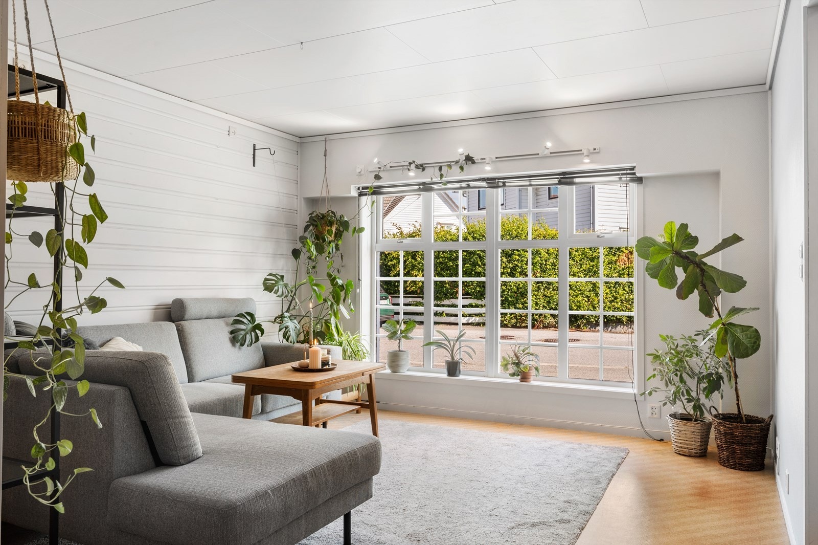 - Leiligheten har store, flotte vinduer som slipper inn rikelig med naturlig lys - Galleribilde