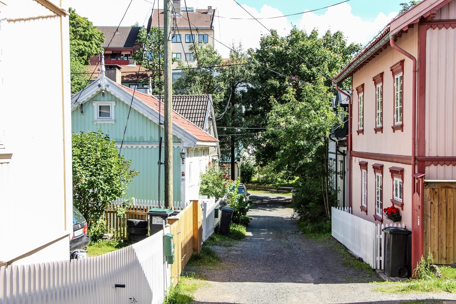 Litt mer av deres nye nabolag. Galleribilde