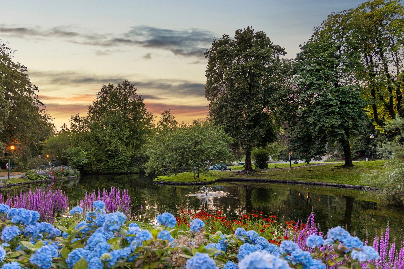 - Nærområdet byr på flere flotte tur, park- og rekreasjonsområder. Her ved vakre Nygårdsparken - Galleribilde