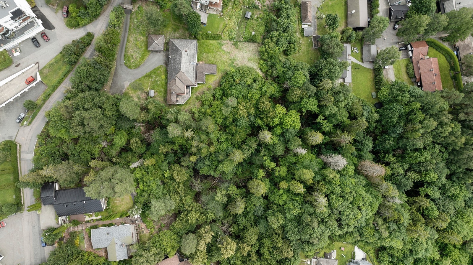 Tomt, lett skrånet terreng. Galleribilde