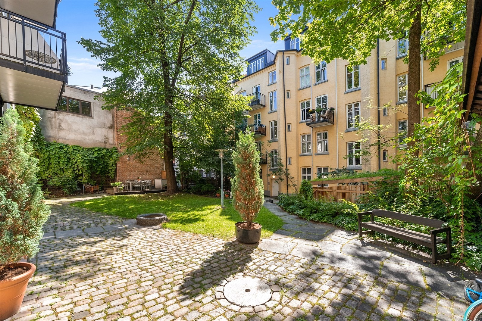 Flotte og grønne omgivelser. Galleribilde