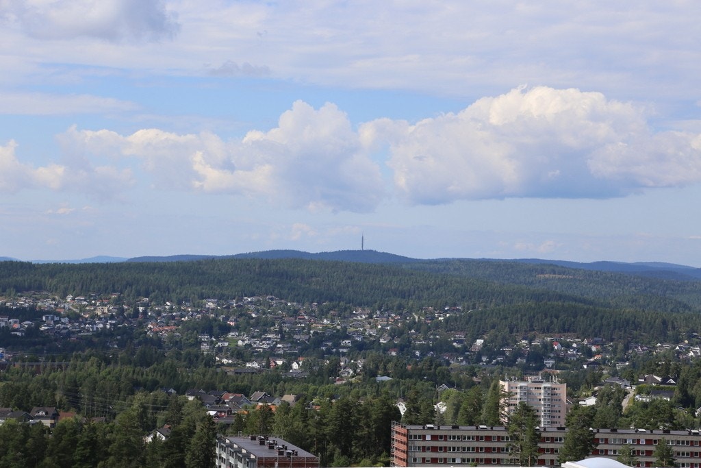 Oversikt over nærliggende boligområde og natur Galleribilde