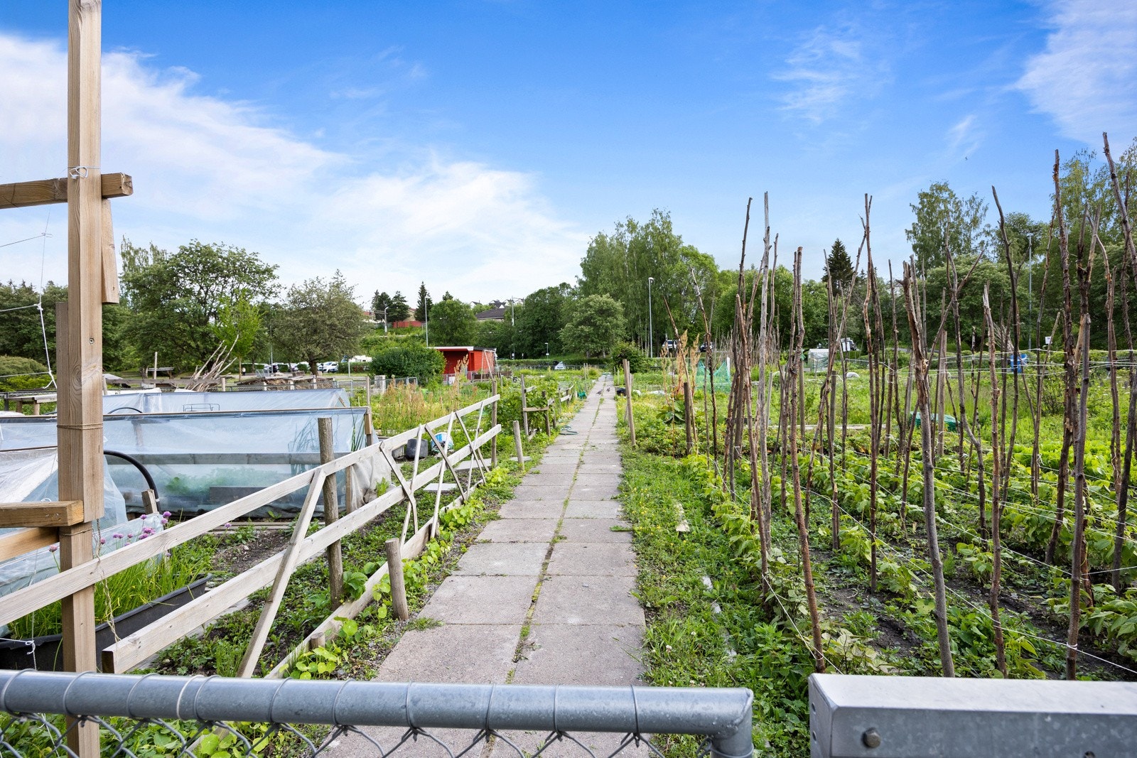 Det er også mulighet å søke plass i borettslagets hage der man kan dyrke egne ting Galleribilde