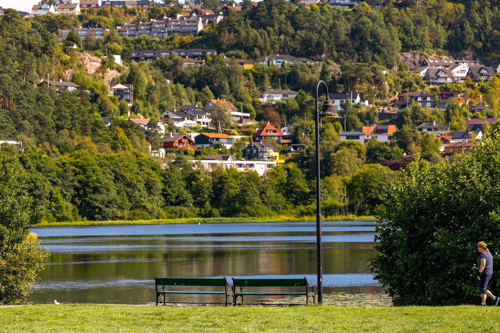 Fine turmuligheter rundt både Lynghaugtjørna og Orrtuvatnet som er avbildet her Galleribilde