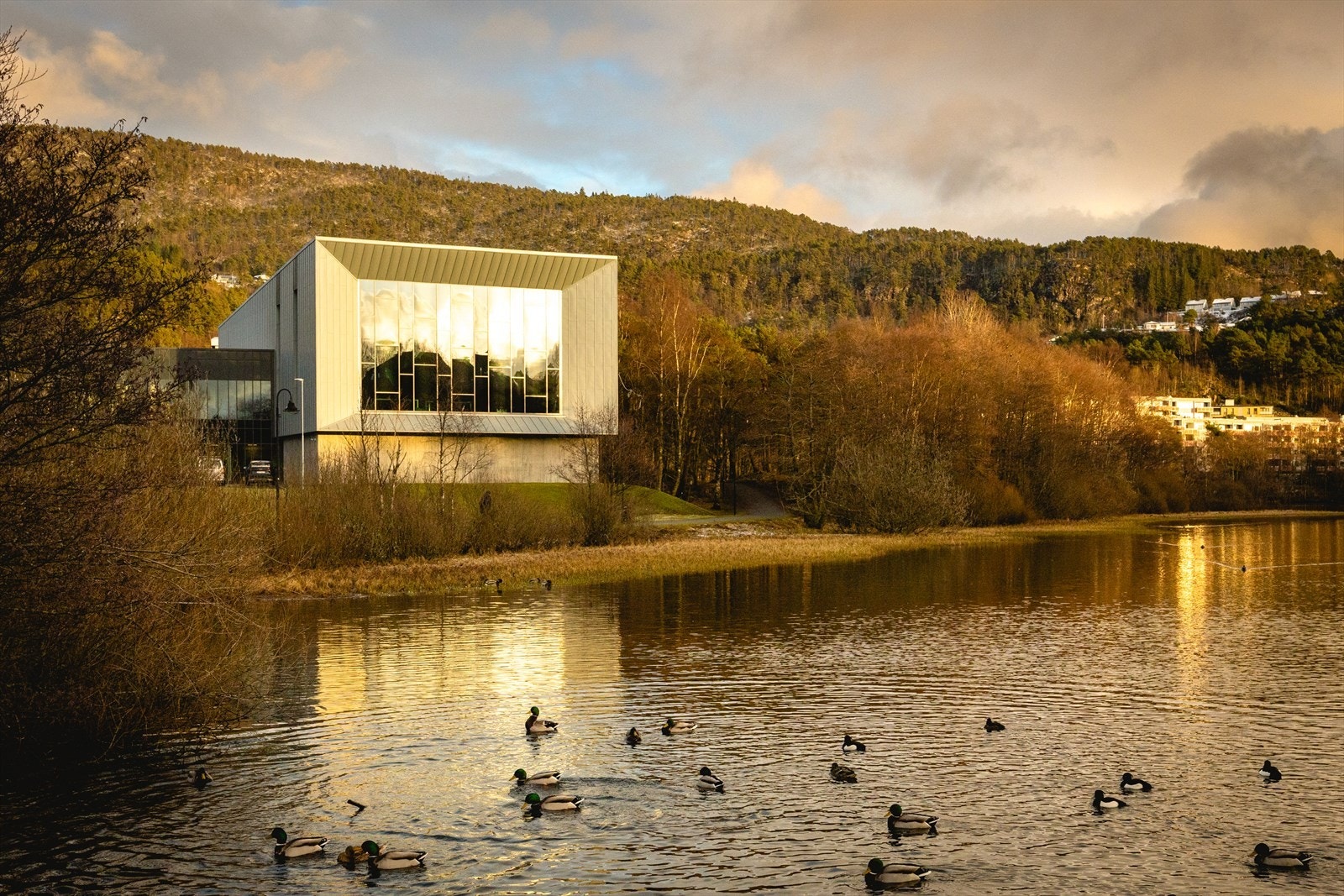 Svømmebaseng ved Ortun skole Galleribilde