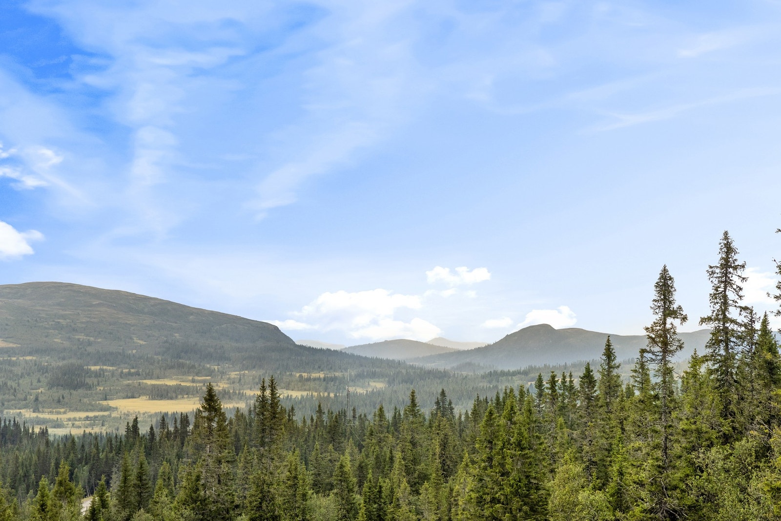 Naturen er fantastisk i området. Galleribilde