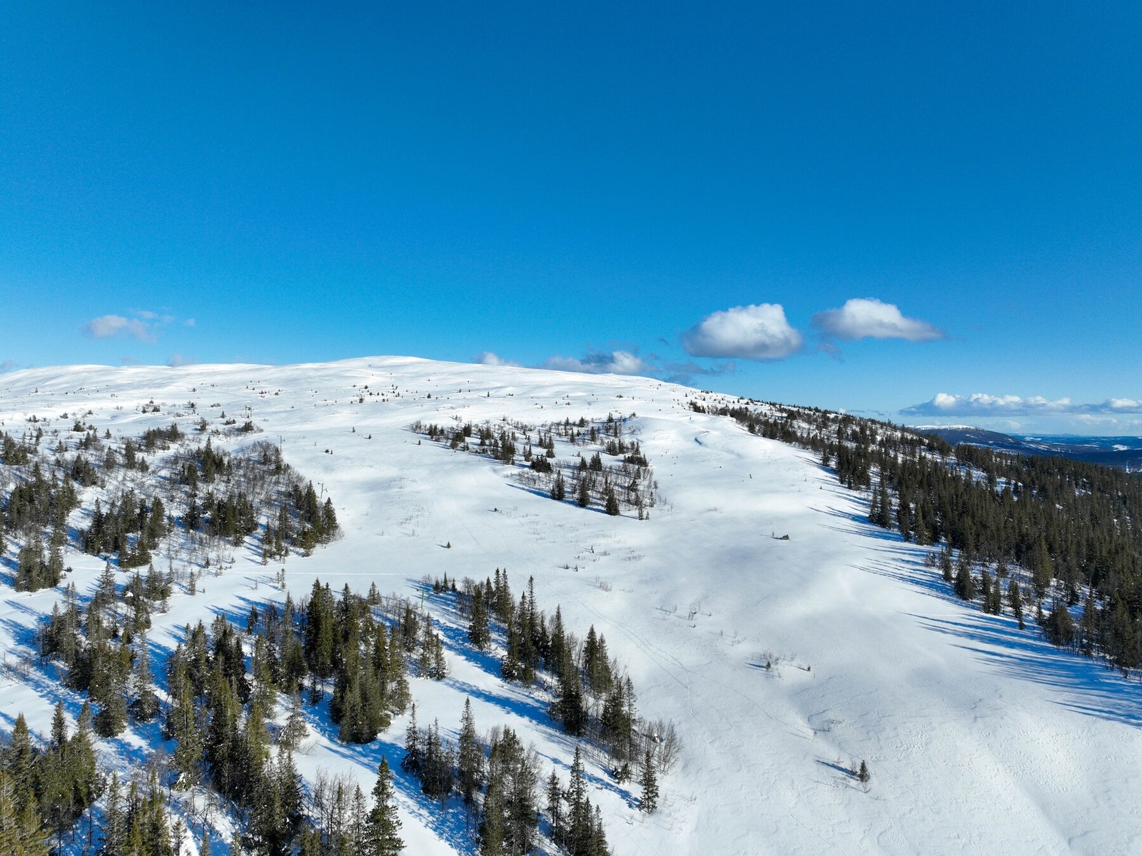 Tidligere alpinbakke som snart åpner med ny heis igjen, den skaper mye glede for hele familien. Galleribilde