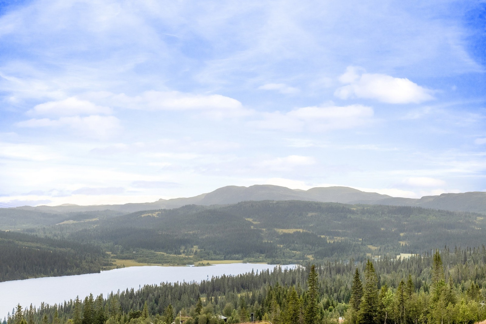 Natur med mange muligheter hele året. Galleribilde