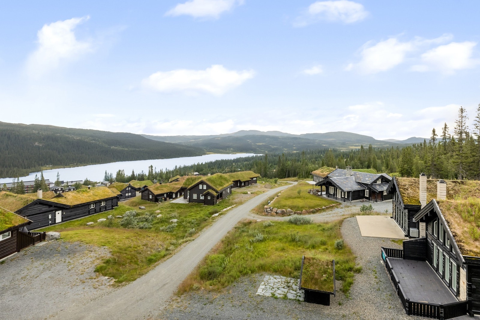 Veien opp til feltet, hytten her ligger da i enden av veien. Galleribilde