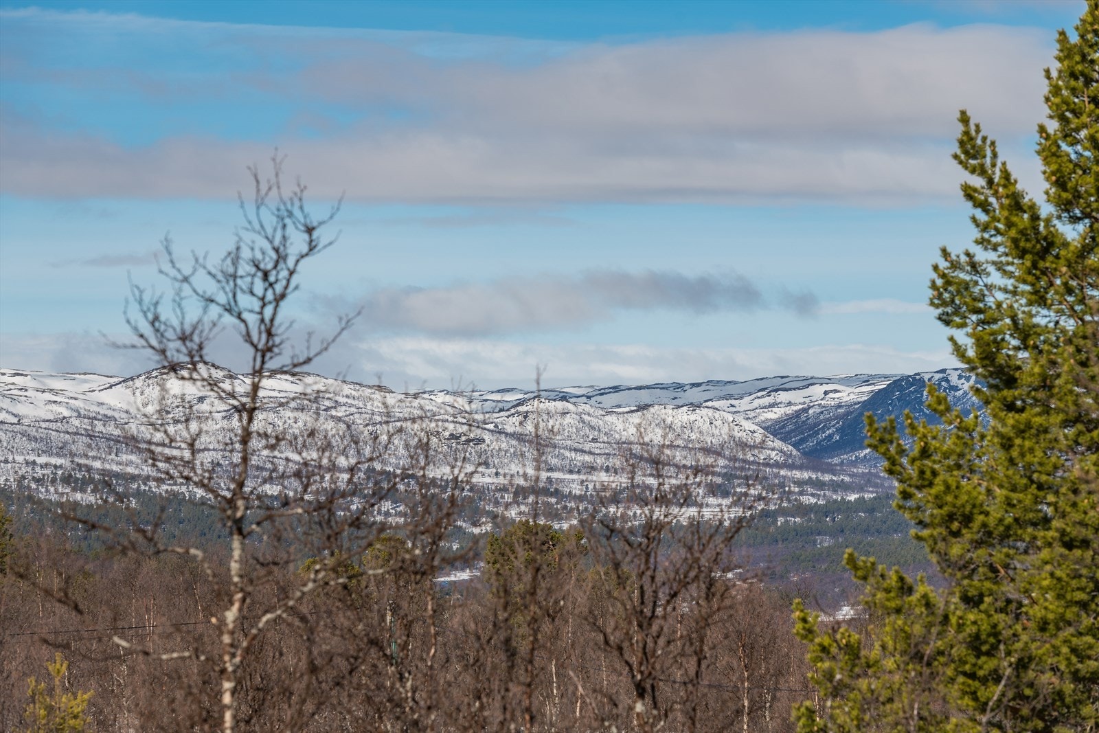 Utsikt fra hytta, innover Seterdalen Galleribilde