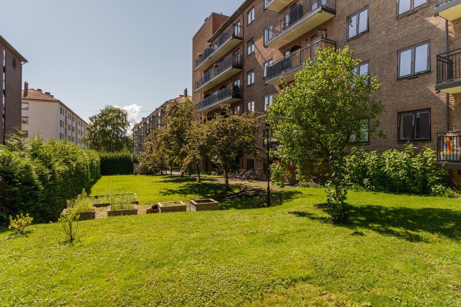 Fellesareal Galleribilde