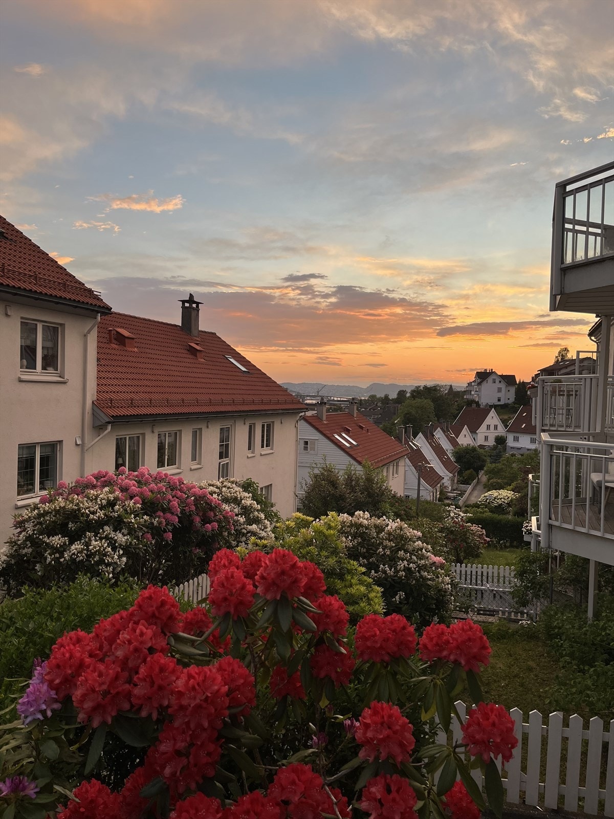 Kveldsfoto tatt av selger. Galleribilde