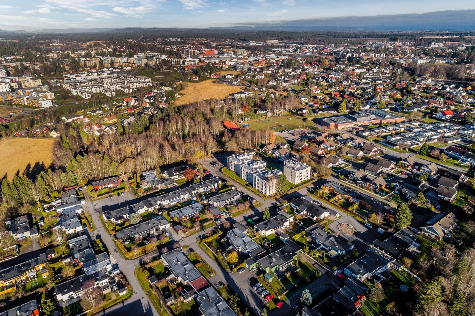 Dronebilde over nærområdet. Galleribilde