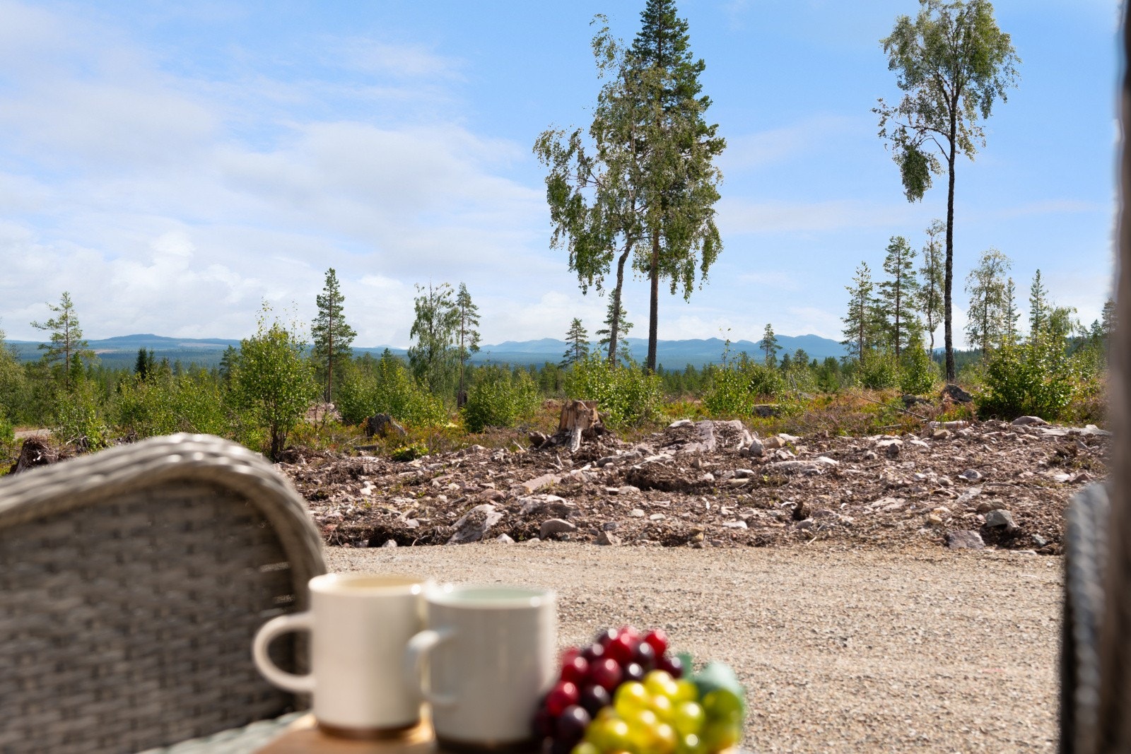 Nyte naturen på terrassen. Godt med store tomter og langt mellom hyttene. Galleribilde