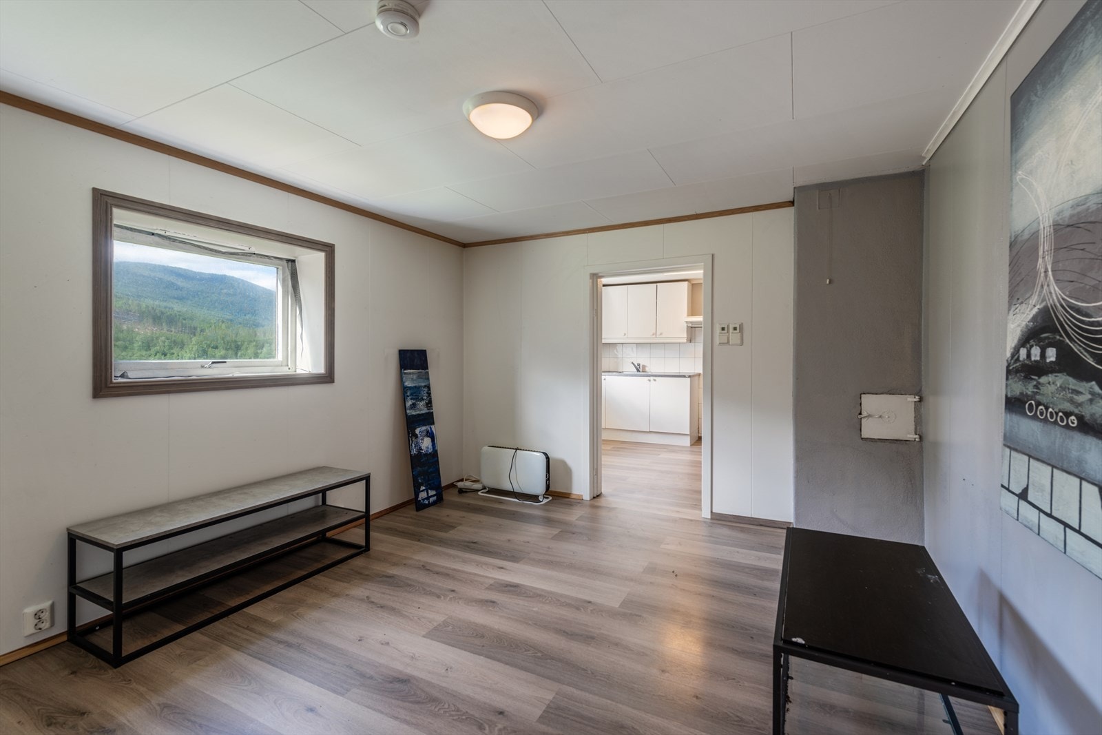 Stue leilighet underetasje Galleribilde