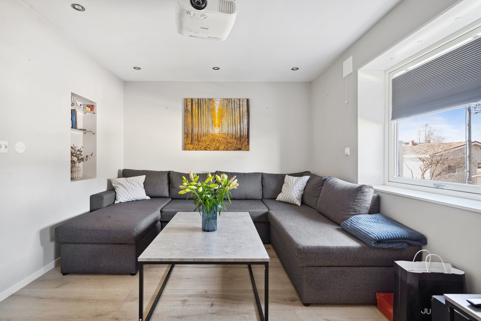 Naturlig inndeling av soner, naturlig tv-krok. Galleribilde