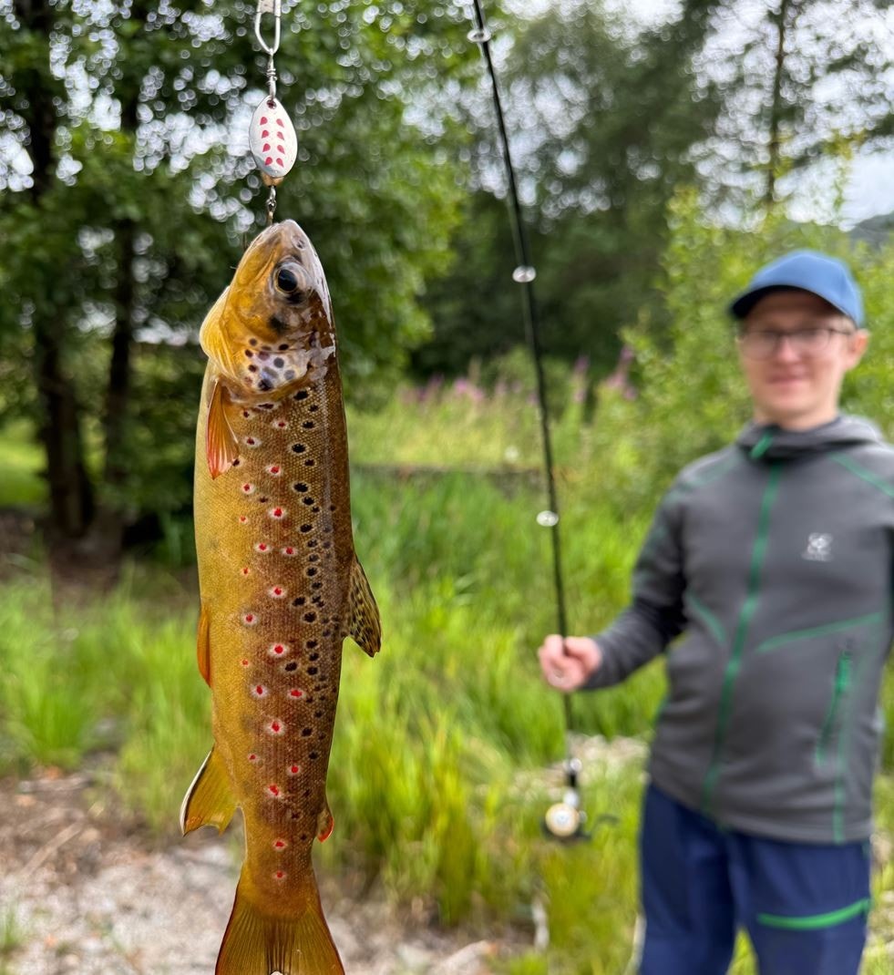 I elva like ved har du gode fiskemuligheter! Galleribilde