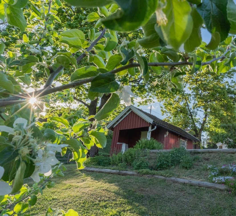 - Her kan stillheten nytes i monn - et sted å leke og leve hele året! - Galleribilde