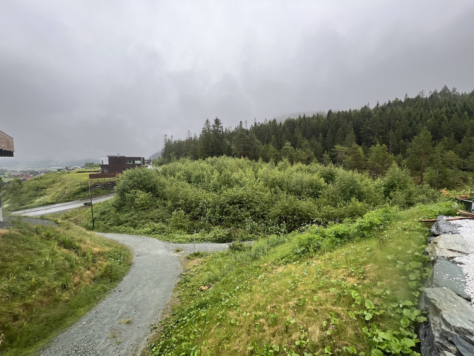 IMG_1533.jpeg Galleribilde