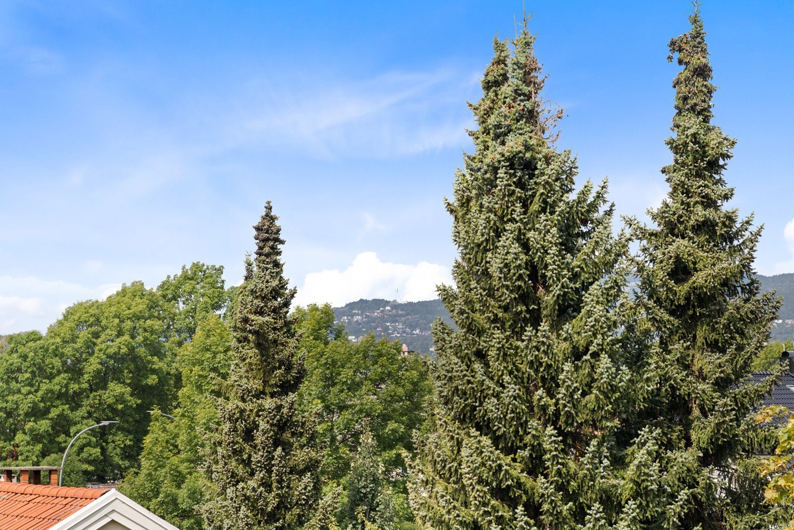 Fra balkongen har du også en flott utsikt utover byen og Holmenkollen. Galleribilde