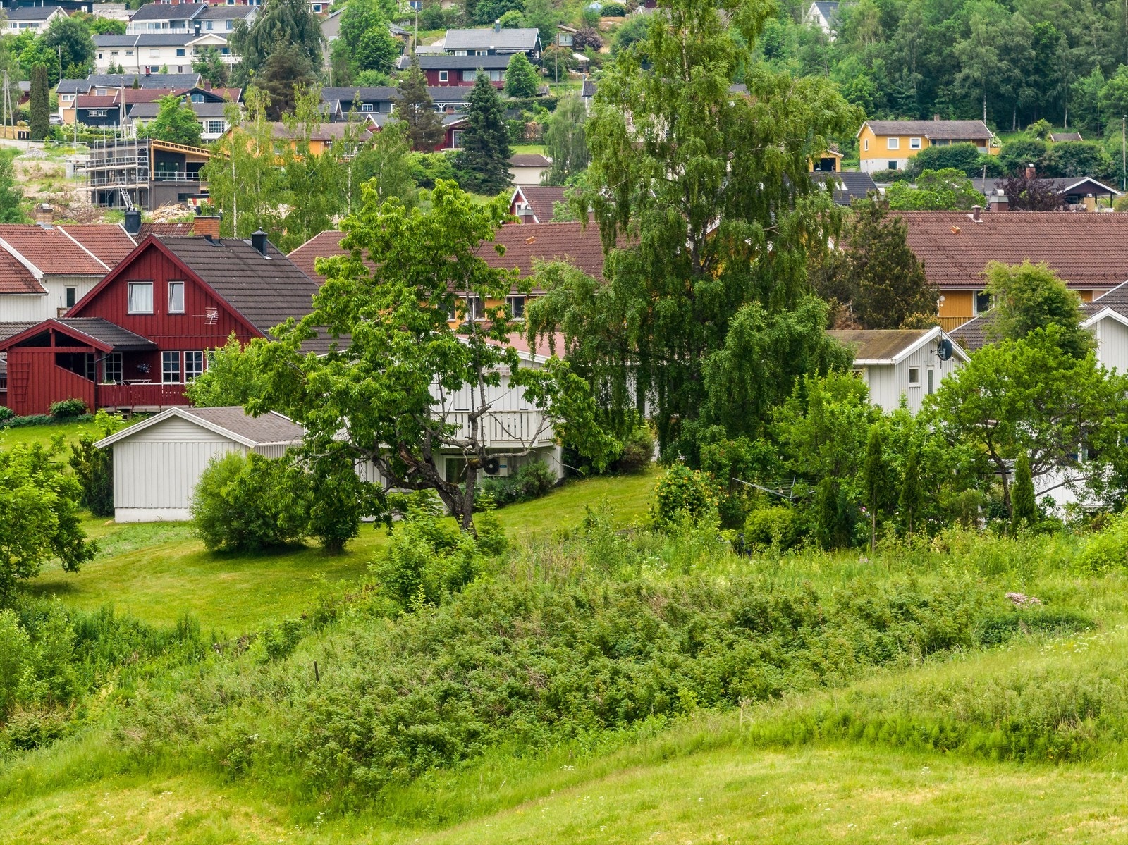 Eiendommen sett fra nord Galleribilde