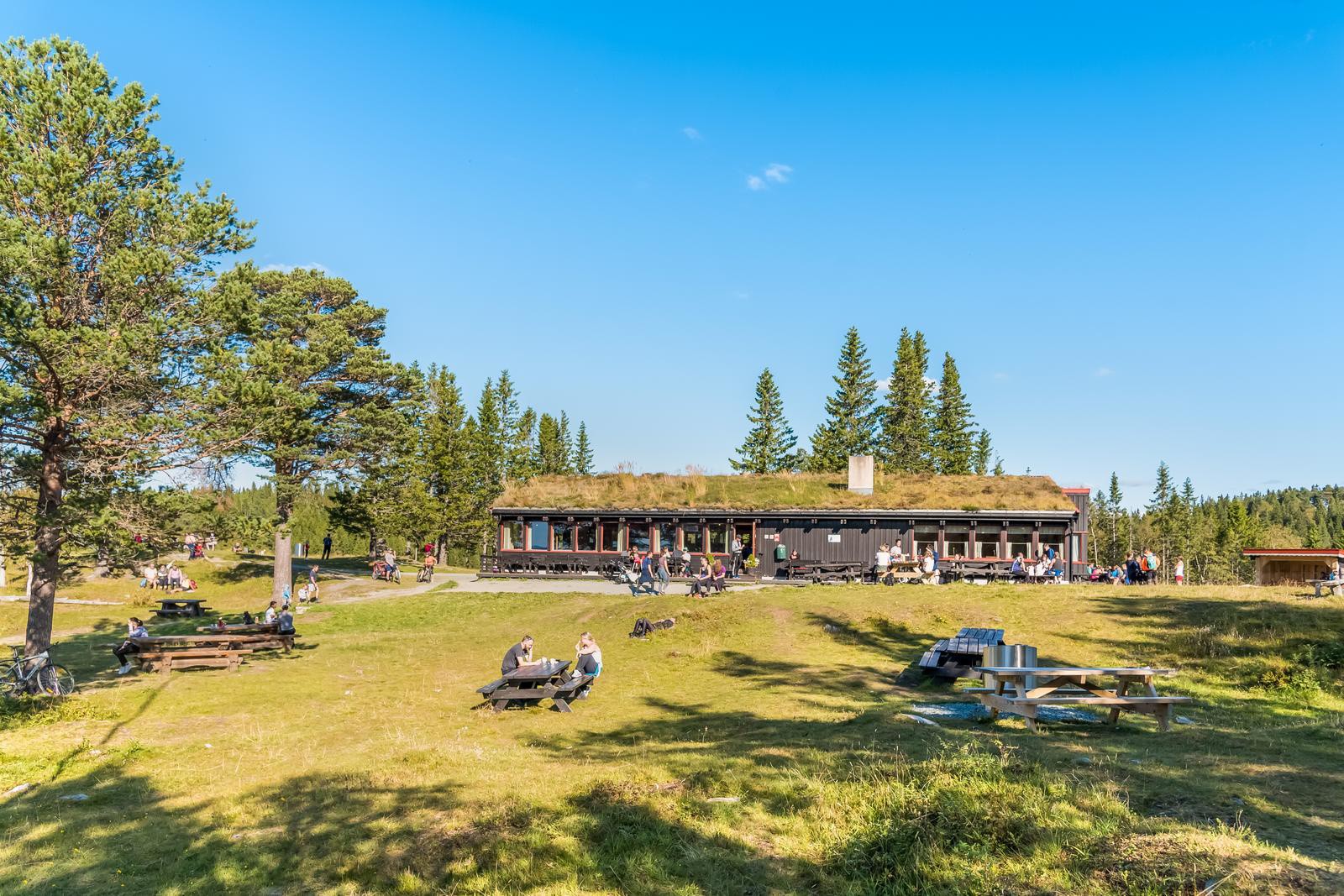 Kan det friste med en kopp kaffe og bolle på Estenstadhytta? Galleribilde