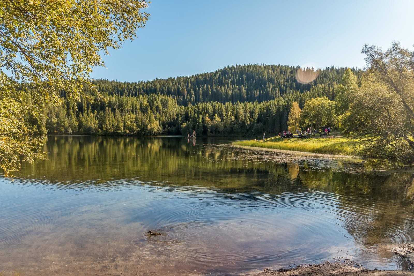 I marka finner man gode badeforhold ved blant annet Tømmerholtdammen. Galleribilde