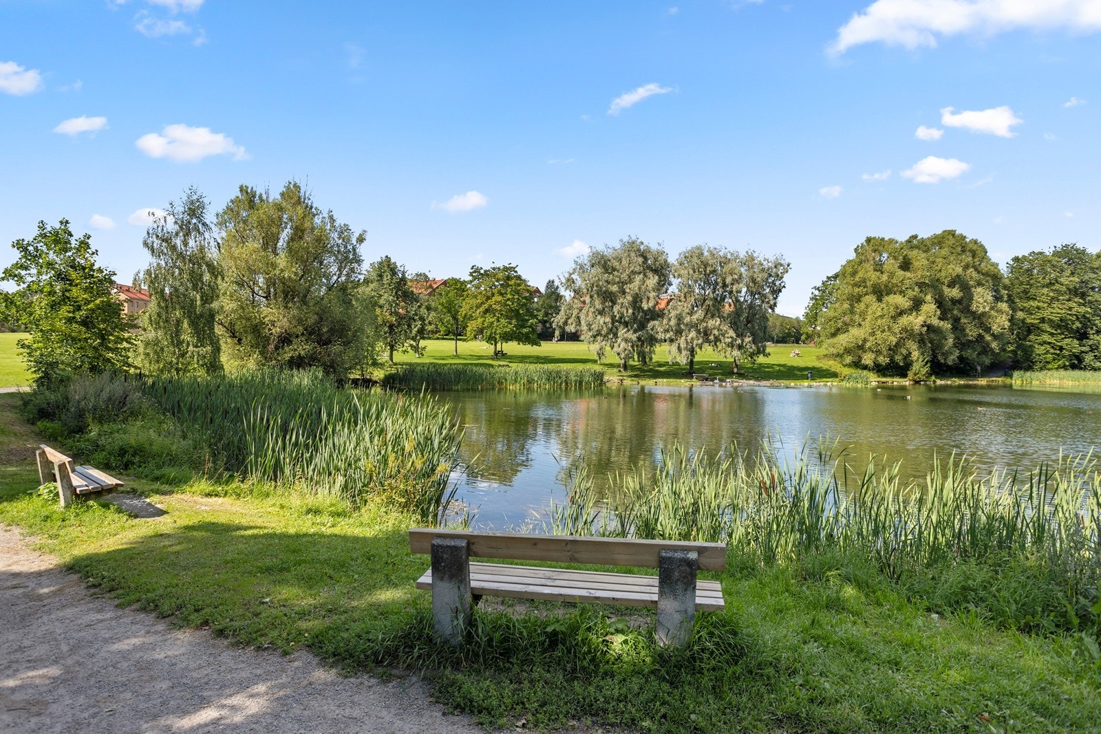 Borettslaget eier en 70 mål stor tomt som byr på bl.a. idyllisk andedam, lekeplasser, basketbane, turnhall og tennisbane. Galleribilde