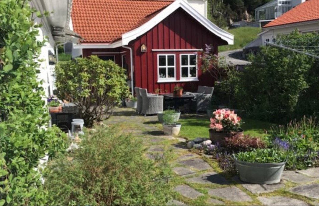 Bakgård under blomstring Galleribilde