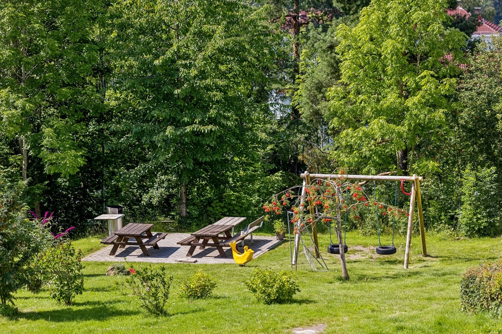 Uteområde er fantastisk, grønt og frodig. Galleribilde