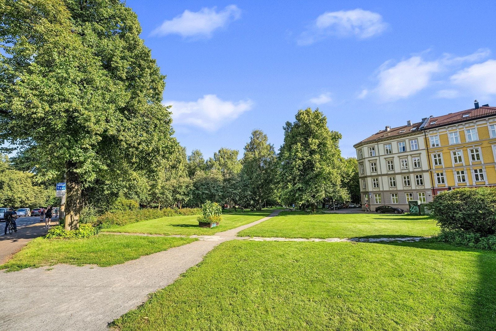Nærområde. Galleribilde