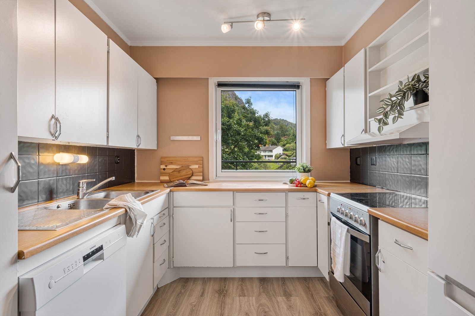 - Det er integrert oppvaskmaskin og ventilator - Galleribilde