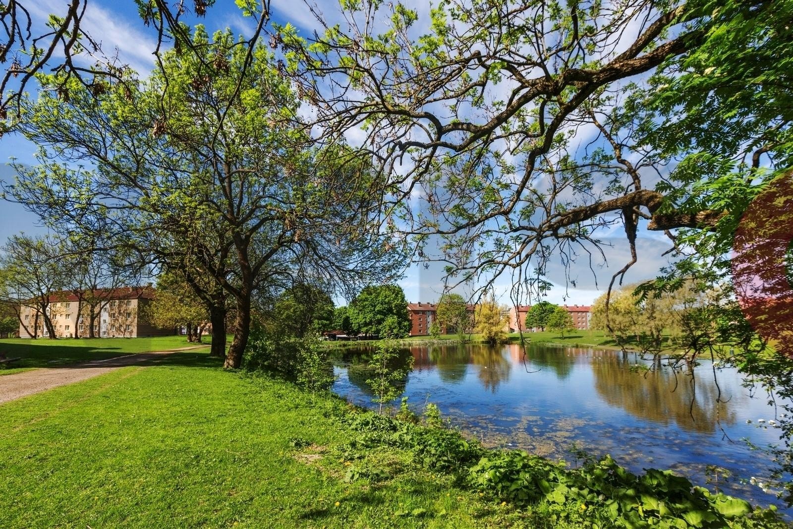 Hovindammen, flott parkanlegg med god plass til lek og piknik. Galleribilde