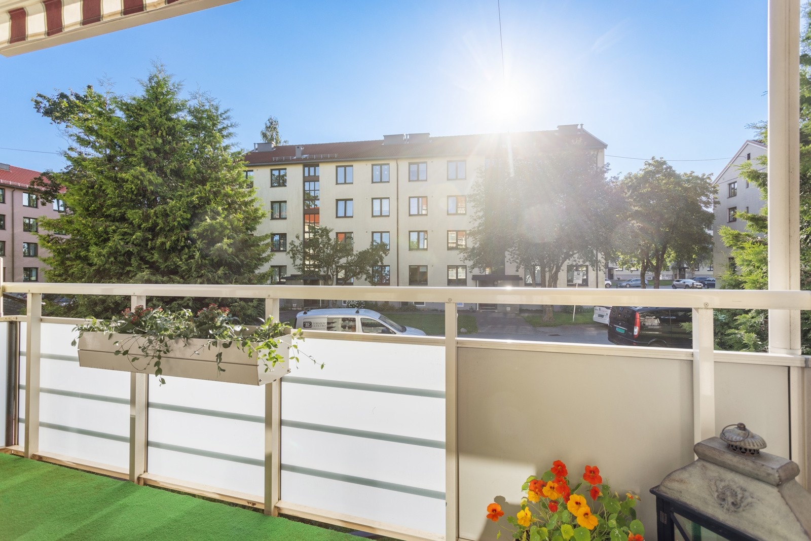 Gode solforhold. Galleribilde