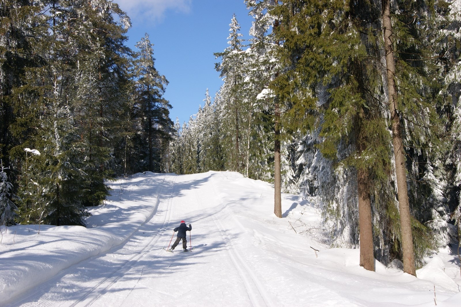Grefsenkollen Skiseter ligger også i gangavstand. Galleribilde