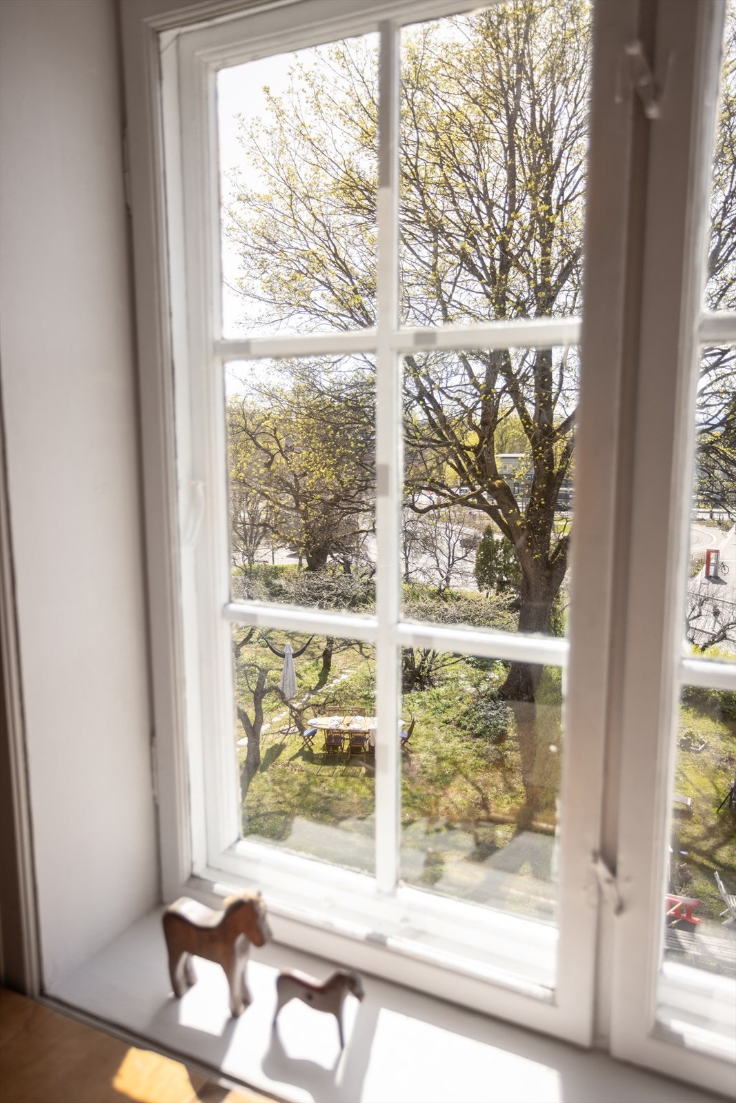 Utsyn mot hagens store lønnetre. Galleribilde