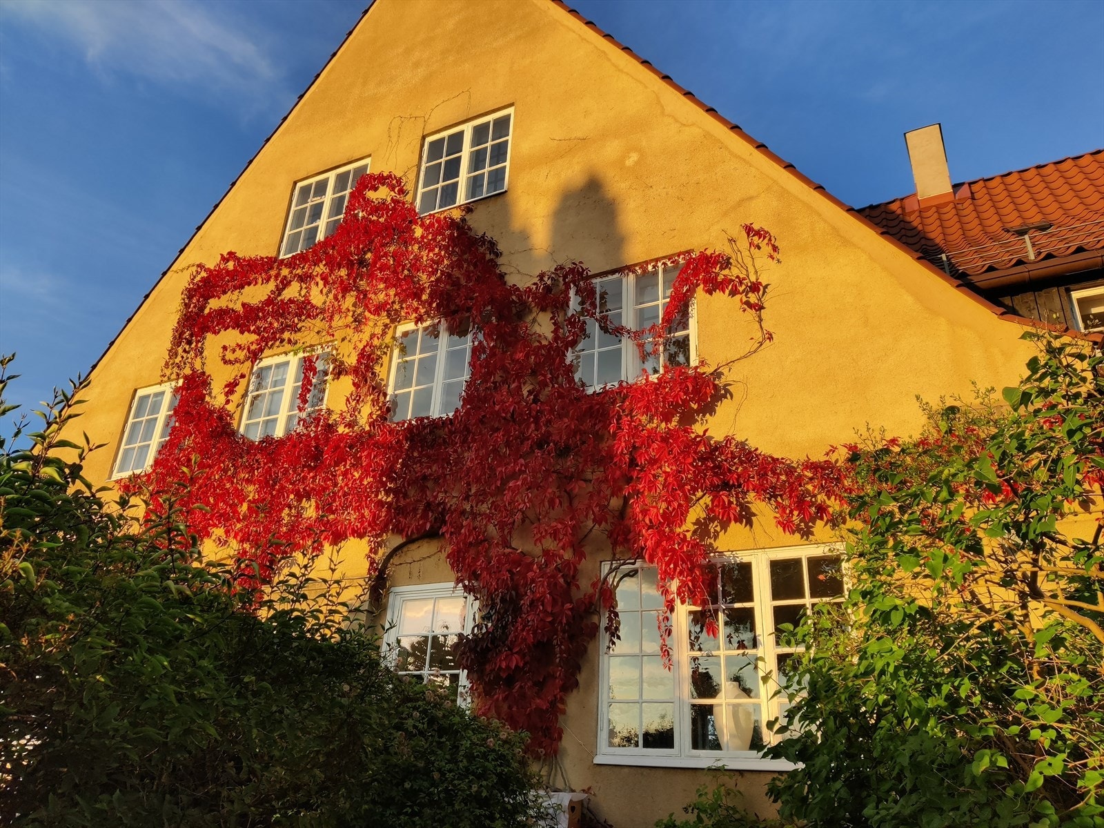 Et vakkert og sjeldent rekkehus med fantastisk beliggenhet i Ullevål Hageby. Galleribilde