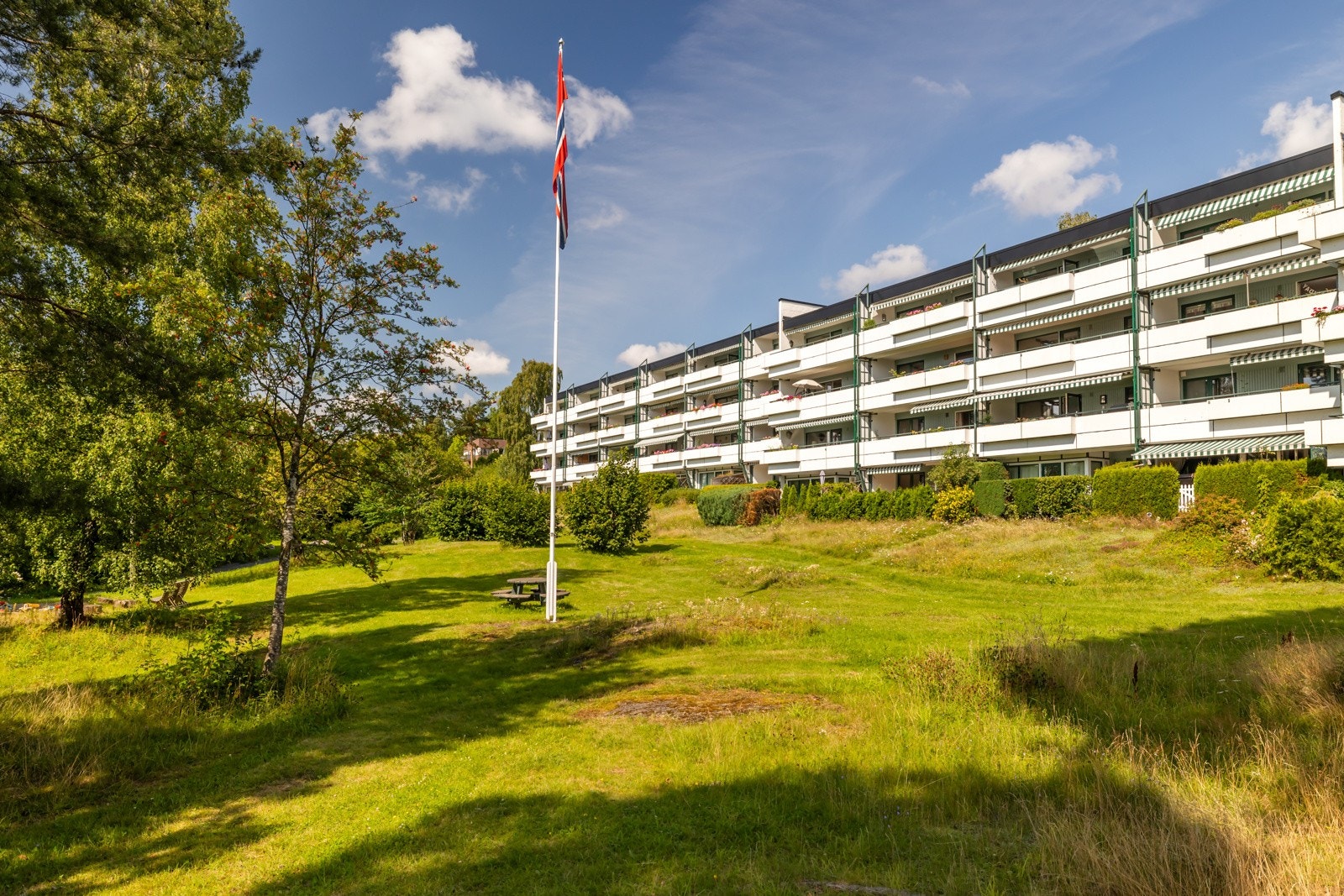 Velkommen til visning! Galleribilde