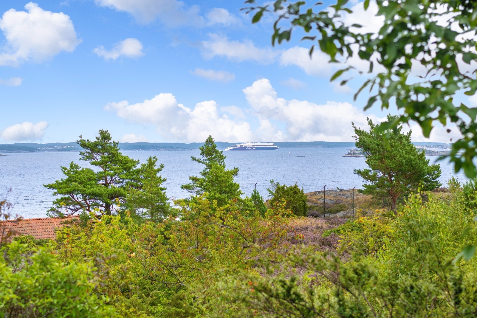 Fantastisk utsikt! Galleribilde