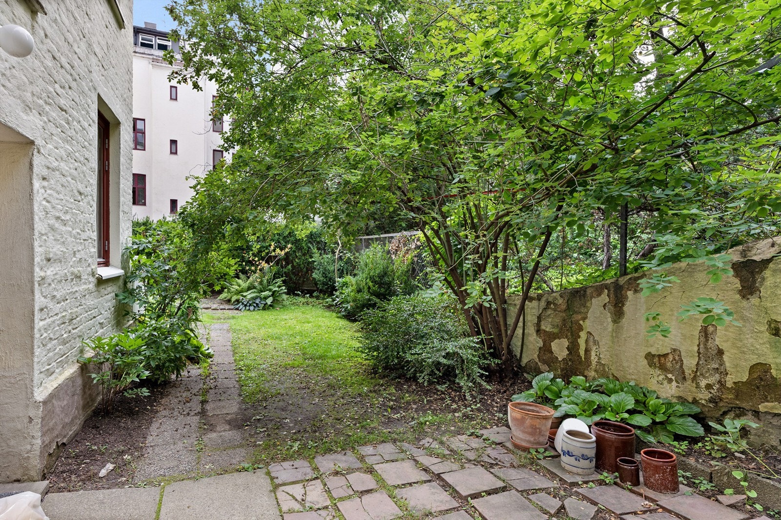Felles bakgård med plen, trær og diverse beplantning. Galleribilde